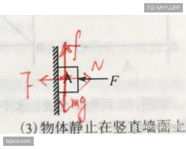 努涅斯亿元身价的能力匹配度与压力承受力分析